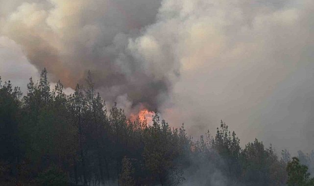 Bursa'da başlayan orman yangını Balıkesir'e sıçradı