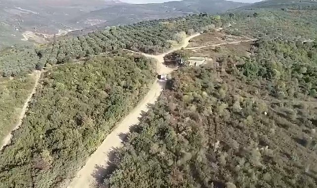 Bursa'da zeytin hırsızlarına dronlu denetim