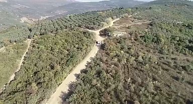 Bursa'da zeytin hırsızlarına dronlu denetim