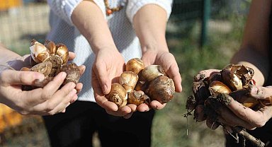Büyükşehir Belediyesi'nden kadın girişimcilere tarımsal destek