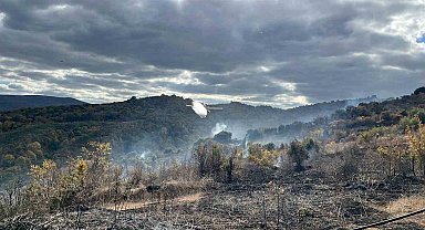 Çanakkale'deki yangında 2 hektarlık alan zarar gördü