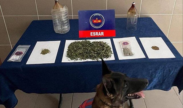 Çankırı'da aranan 114 şahıs yakalandı