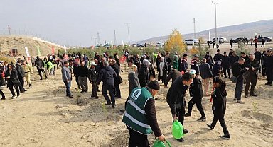 Çankırı'da fidanlar toprakla buluştu