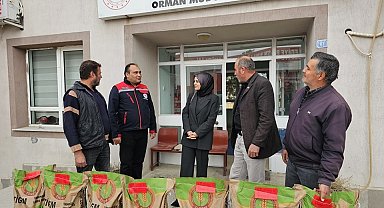 Çiftçilere hibe destekli buğday tohumu dağıtıldı