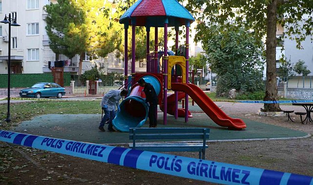 Çocuk parkında dehşet saçtılar: 2 çocuk saçma ile yaralandı