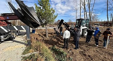 Çorum'un gözde mekanlarından olan Veli Çayırı'ndaki otopark yeşille buluşturuluyor