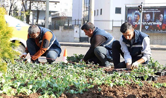 Diyarbakır 1 milyon çiçekle renkleniyor