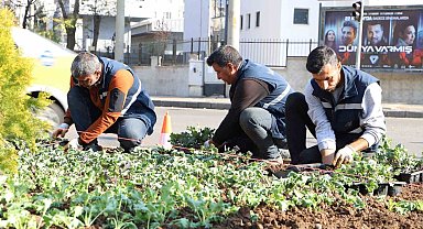 Diyarbakır 1 milyon çiçekle renkleniyor