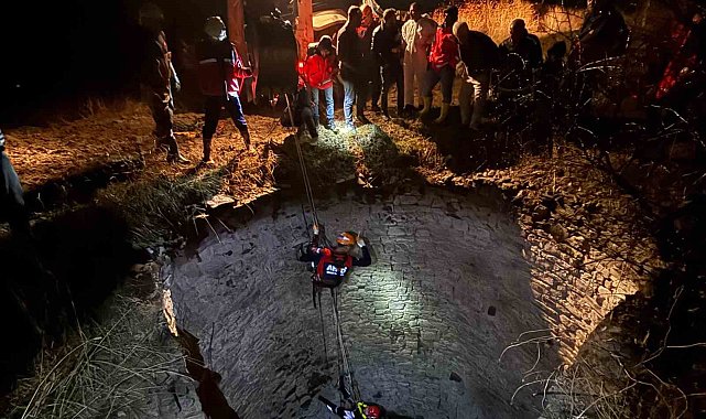 Diyarbakır'da kuyuya düşen yaban domuzu böyle kurtarıldı