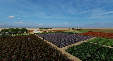 Diyarbakır'da tıbbi ve aromatik bitki bahçesi oluşturuluyor