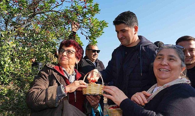 Doğaseverler 438 metre yüksekliğindeki Kayışdağı Ormanı'nda dağ çileği topladı
