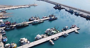 Doğu Akdeniz'de balık popülasyonu azalıyor