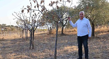 Ege'de kuraklık alarmı