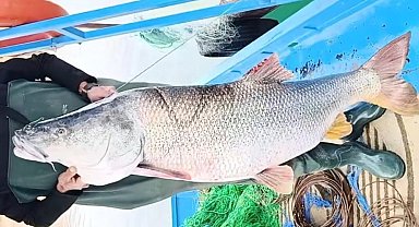Elazığ'da balıkçının ağına 46 kiloluk turna balığı takıldı