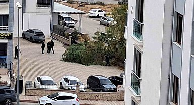 Elazığ'da şiddetli fırtına ağaçları devirdi