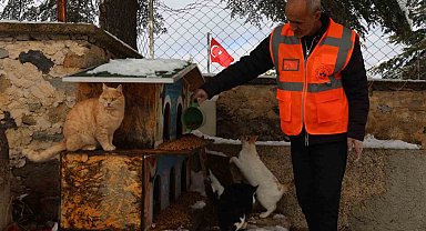 Elazığ'da sokak hayvanları için doğaya yem bırakıldı