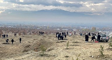 Erzincan'da dağa taşa umut ekiyorlar