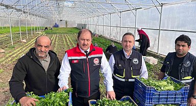 Erzincan'da kışlık sebze hasadı başladı