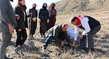 Erzincan'da Tuz Çalısı Ormanı kuruldu