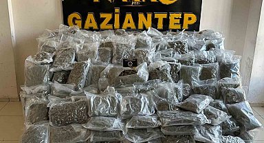 Gaziantep'te 104 kilo skunk ele geçirildi