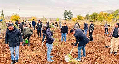 Geleceğe kök salacak fidanlar toprakla buluşturuldu