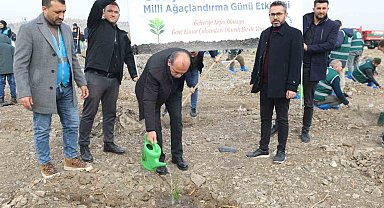 Genç Büro Memur-Sen'den Türkiye Yüzyılı'na fidan desteği