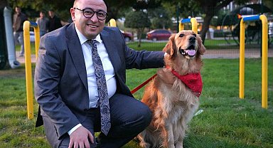 Geri dönüşüm malzemelerinden Pati Park