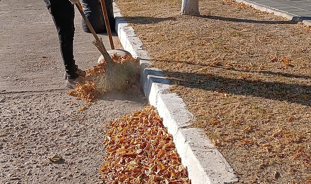 Germencik'te 'sonbahar' temizliği