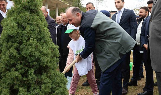 Giresun'da 1 milyon ağaç toprakla buluşacak