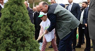 Giresun'da 1 milyon ağaç toprakla buluşacak