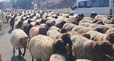 Göçerlerin yaylalardan dönüş yolculuğu hız kazandı