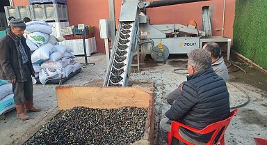 Gördes'te zeytinyağı mesaisi