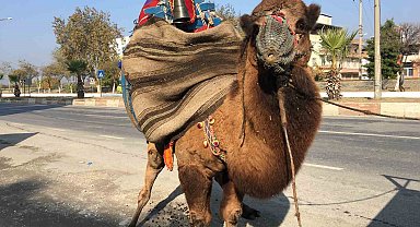 Güreşler için her gün 10 kilometre yürütülüyor