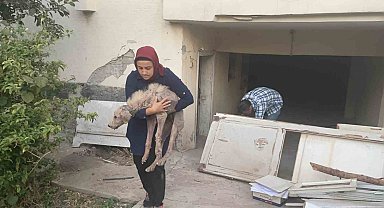 Hasarlı binada ölümü bekleyen zor durumdaki köpeği hayvan severler kurtardı