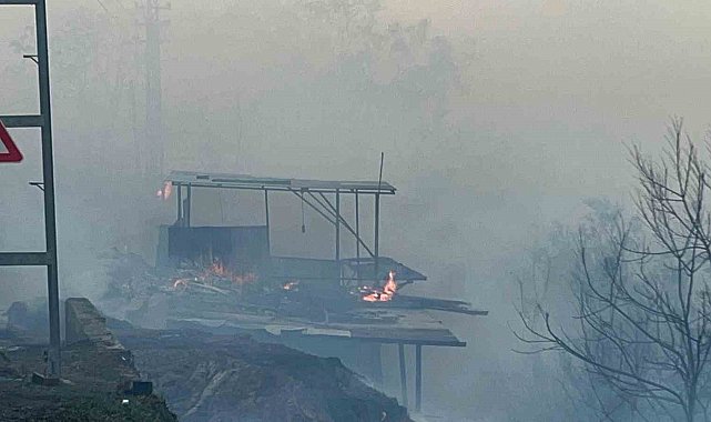 Hatay'da orman yangını evlere sıçradı