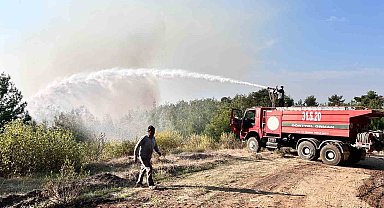 Hatay'da orman yangını rüzgarın etkisiyle büyümeye devam ediyor