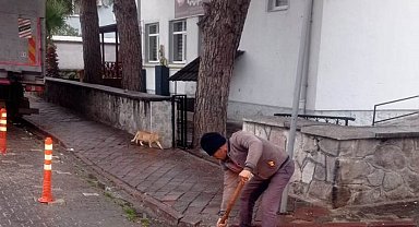 Havran'da yağmur alarmı
