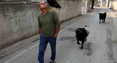 Horoz ve keçileriyle arkadaş oldu