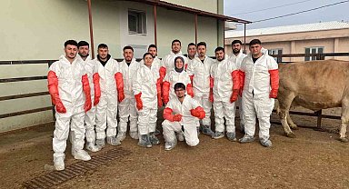 Iğdır'da veteriner sağlık teknisyenlerine suni tohumlama kursu düzenlendi