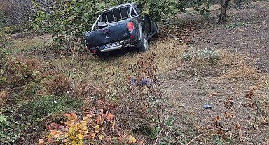 İşçileri taşıyan kamyonet ağaca çarptı: 1 ölü, 7 yaralı