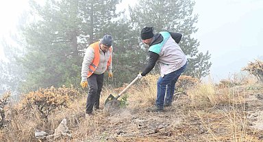 Isparta Belediyesi Gölcük Tabiat Parkı'nda fidanlar toprakla buluşturuldu