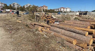 Isparta'da kontrolden çıkan otomobil tomrukların üzerinden düştü: 2 yaralı