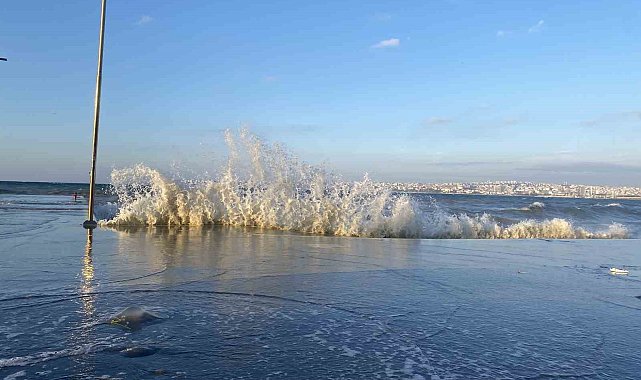 İstanbul'da lodos etkili oldu, deniz anaları kıyıya vurdu