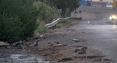 İstilacı farelerle mücadele için çalışma başlatıldı