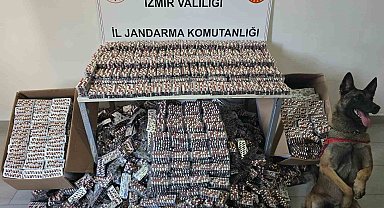 İzmir'de jandarmadan operasyon: 129 bin sentetik hap ele geçirildi