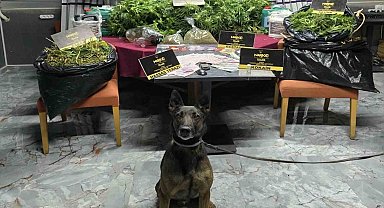 İzmir'de zehir tacirlerine 'Rex'li baskın: 1 tutuklama