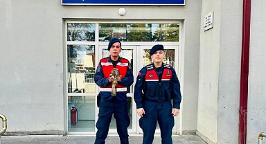 Jandarma ekipleri yaralı olarak buldukları şahine nefes oldu
