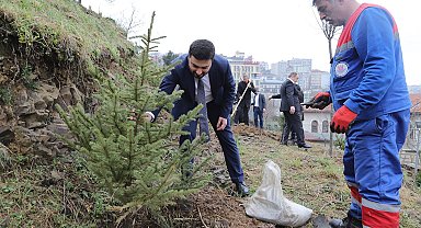 Kağıthane'de yeşil gelecek: Her bebek bir ağaçla büyüyor