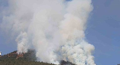 Kahramanmaraş'ta orman yangının kontrolü altına alındı