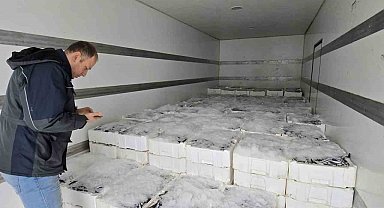 Karadeniz'de hamsi bereketi yaşanmaya başlandı